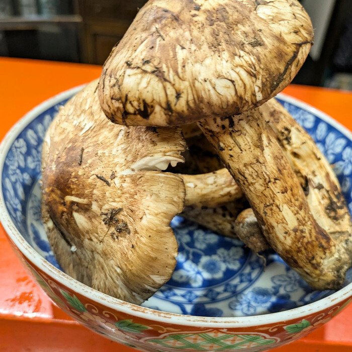 画像537