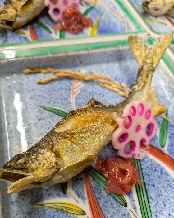 画像545
