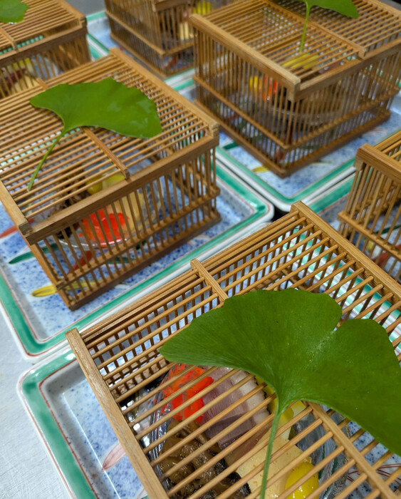 画像557